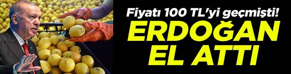 Fiyatı 100 TL'yi geçmişti! Başkan Erdoğan el attı