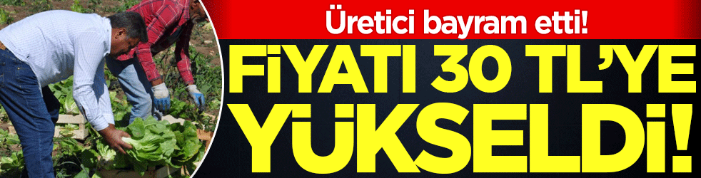Fiyatı 30 liraya kadar yükseldi! Üretici bayram etti! 