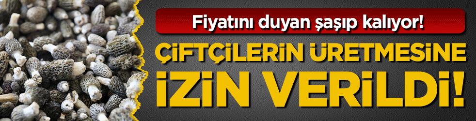Fiyatını duyan şaşıp kalıyor! Çiftçilerin üretmesine izin verildi!
