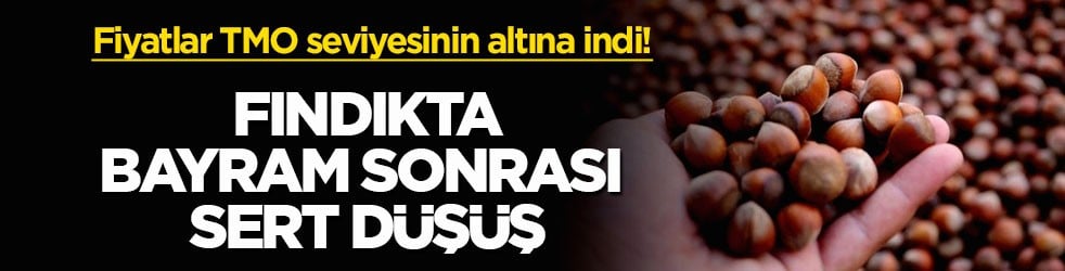 Fiyatlar TMO seviyesinin altına indi! Fındıkta bayram sonrası sert düşüş