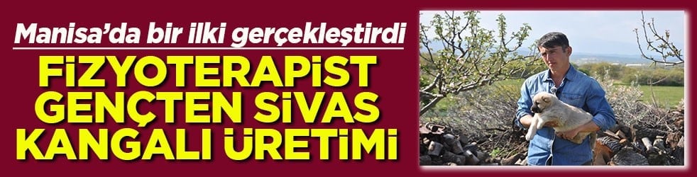 Fizyoterapist gençten Sivas kangalı üretimi