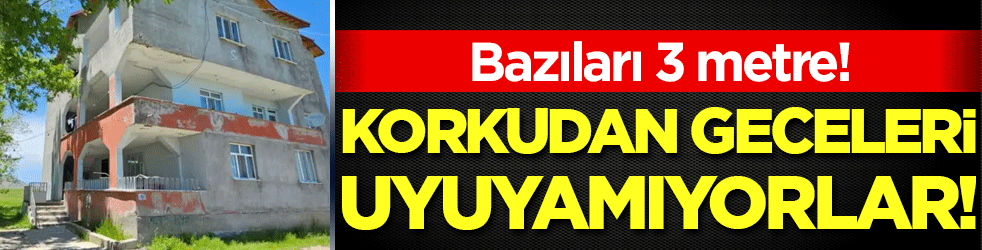 Geceleri korkudan uyuyamıyorlar! Bazıları 3 metre!