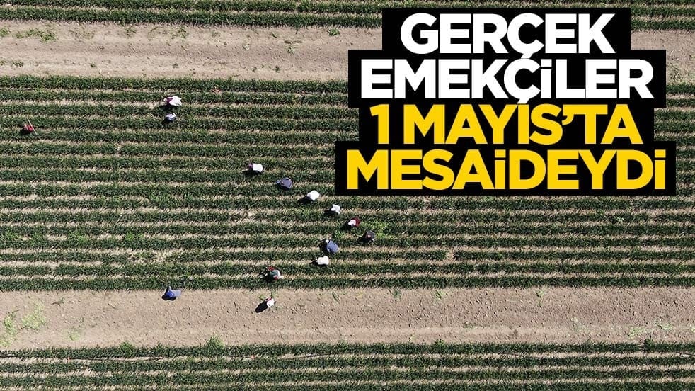 Gerçek emekçiler 1 Mayıs'ta güneş altında mesaideydi