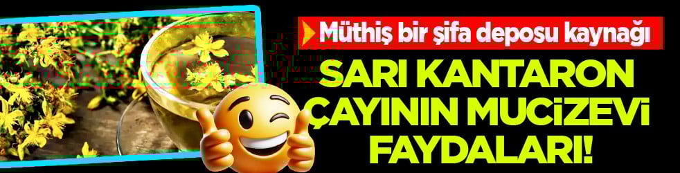 Gevşeme, cildi parlatma ve daha neler neler: Sarı Kantaron Çayının Mucizevi Faydaları