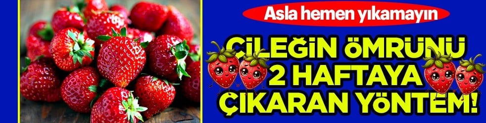 Gıda güvenliği için yıkamayın: Çileği en iyi korumanın kolay yolu... Bu yöntem çürümeyi bile önleyecek... 