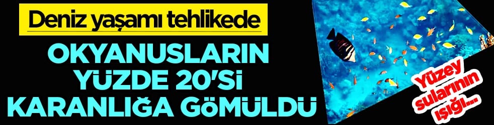 Gıda ve ekosistem üzerinde risk oluşturuyor! Deniz yaşamı çok şaşırtacak olaylara gebe!