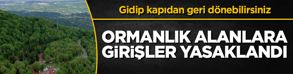 Gidip kapıdan geri dönebilirsiniz! Ormanlık alanlara girişler yasaklandı