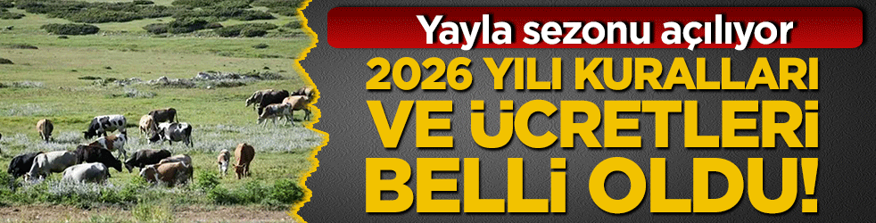 Giresun'da yayla sezonu açılıyor: 2026 yılı kuralları ve ücretleri belli oldu!