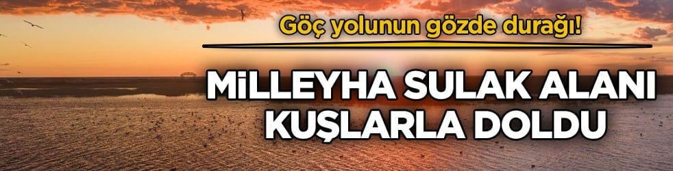 Göç yolunun gözde durağı! Milleyha Sulak Alanı kuşlarla doldu