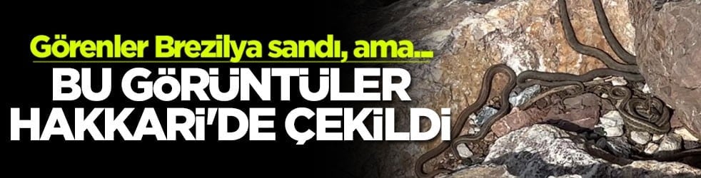 Görenler Brezilya sandı, ama... Bu görüntüler Hakkari'de çekildi