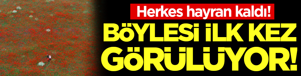 Herkes hayran kaldı: İlk kez böyle görüntülendi!