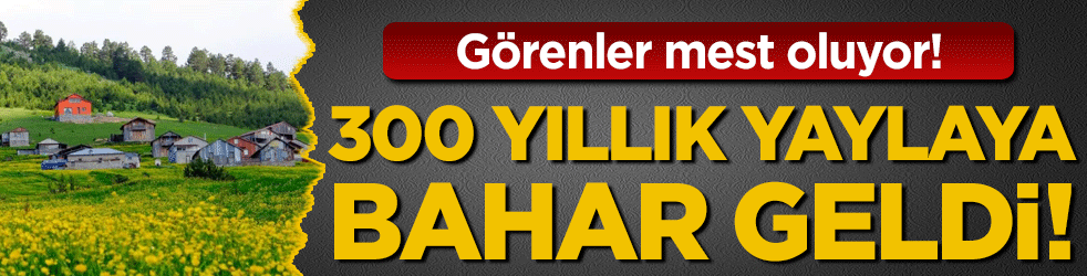 Görenleri mest ediyor! 300 yıllık yaylaya bahar geldi!