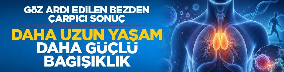 ABD'deki Mass General Brigham araştırmacıları, yıllardır önemini yitirdiği düşünülen cnin yetişkinlik döneminde de kritik rol oynayabileceğini ortaya koydu. Araştırmaya göre daha sağlıklı timüse sahip kişiler daha uzun yaşarken, ciddi hastalıklara yakalan