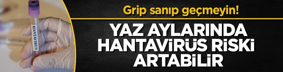 Grip sanıp geçmeyin! Yaz aylarında hantavirüs riski artabilir