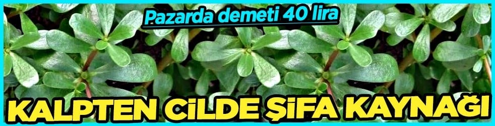 Güçlü bir kaynak! Omega-3 deposu: Kalpten cilde şifa kaynağı... Pazarda demeti 40 lira