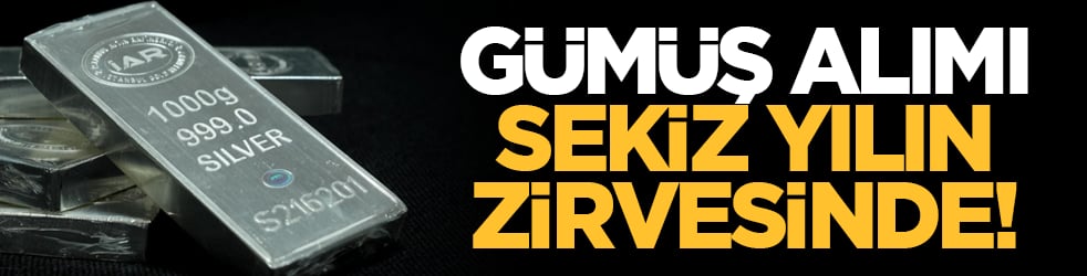 Gümüş alımı sekiz yılın zirvesinde!