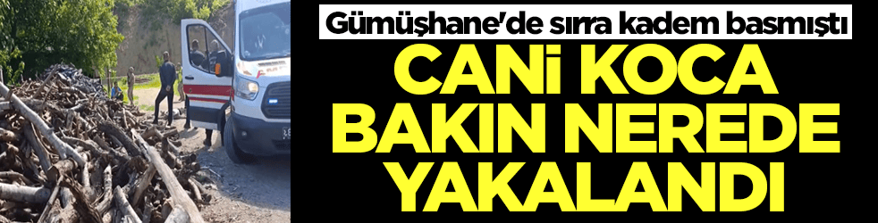 Gümüşhane'de sırra kadem basmıştı: Cani koca bakın nerede yakalandı