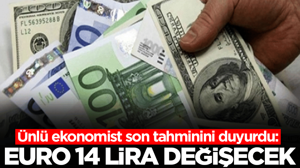 Gündeme oturan çıkış: Euro 14 lira değişecek