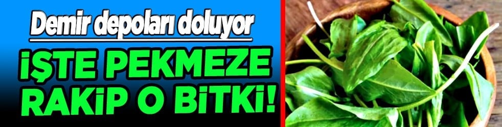 Hafif ekşimsi aromasıyla... Pekmeze rakip o bitki: Demir depoları doluyor
