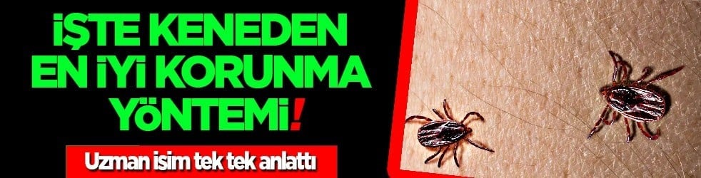 Hamile olanlar ve çocuklar için bu uyarı çok ama çok gerekli: Kene ısırmasında en iyi korunma yöntemi