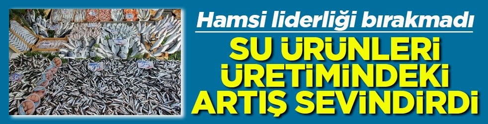 Hamsi liderliği bırakmadı Su ürünleri üretimindeki artış sevindirdi