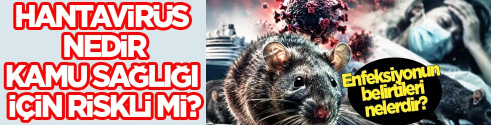 Hantavirüs nedir, Türkiye dahil 12 ülke uyarıldı! Reuters sordu, her şey belli oldu! ABD harekete geçti