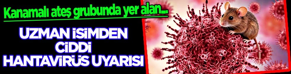 Hantavirüs uyarısı: Herkesin uykularını kaçıran hantavirüs alarmı! İnsandan insana bulaşıyor mu?