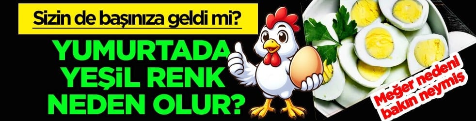 Harcanan zamana dikkat edin! Yumurtada yeşil renk neden olur?