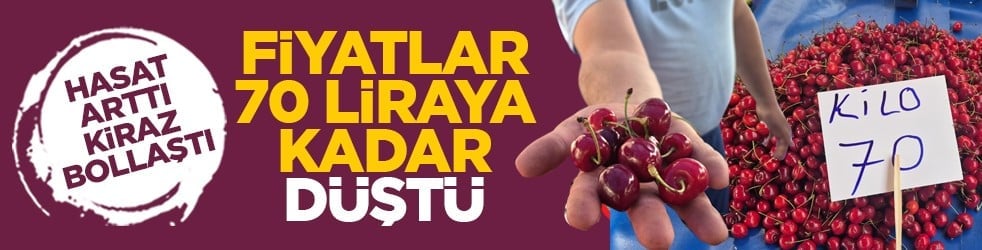 Hasat arttı, kiraz bollaştı: Fiyatlar 70 liraya kadar düştü
