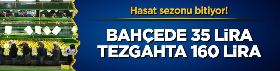 Hasat sezonu bitiyor! Bahçede 35 lira, tezgahta 160 lira