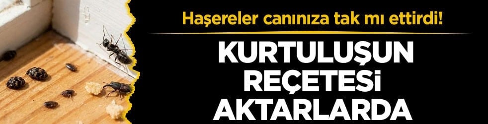 Haşereler canınıza tak mı ettirdi! Kurtuluşun reçetesi aktarlarda