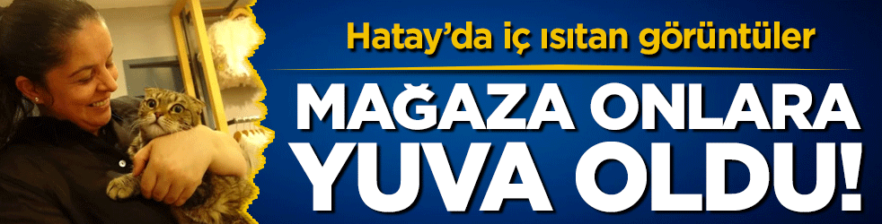 Hatay'da iç ısıtan görüntüler! Mağaza onlara yuva oldu!