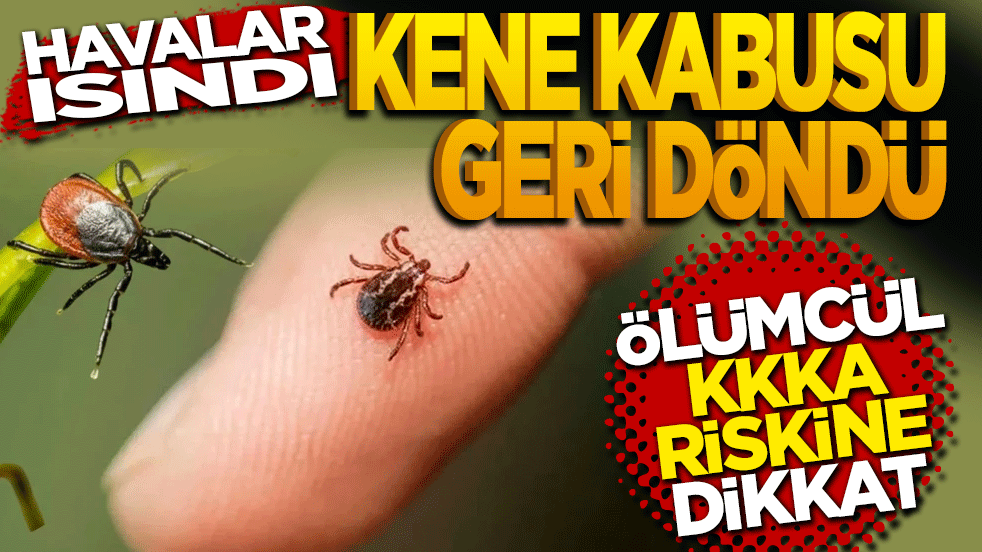 Havalar ısındı, kene kabusu geri döndü: Ölümcül KKKA riskine karşı uzman uyarısı