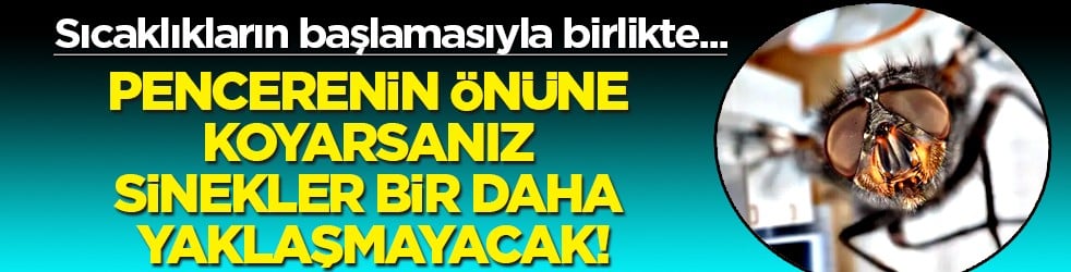 Havaların ısınmasıyla birlikte... Pencerenin önüne koyarsanız sinekler bir daha yaklaşmayacak