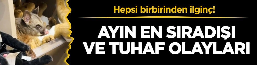 Hepsi birbirinden ilginç! Ayın en sıradışı ve tuhaf olayları