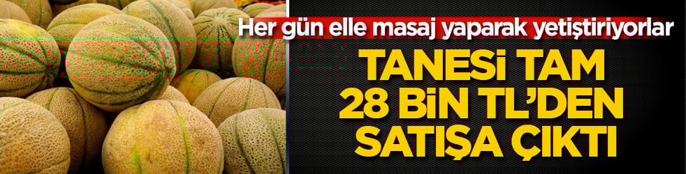 Her gün elle masaj yaparak yetiştiriyorlar: Tanesi tam 28 bin TL’den satışa çıktı