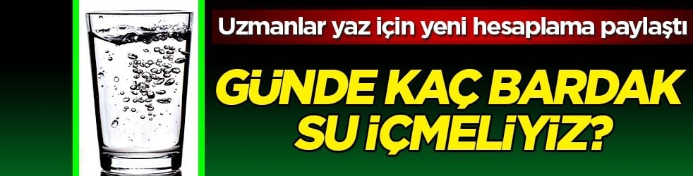Her şeyden önce günde 2,5 litre su için: Uzman isimler endişe duyuyor... Yaz için yeni hesaplama
