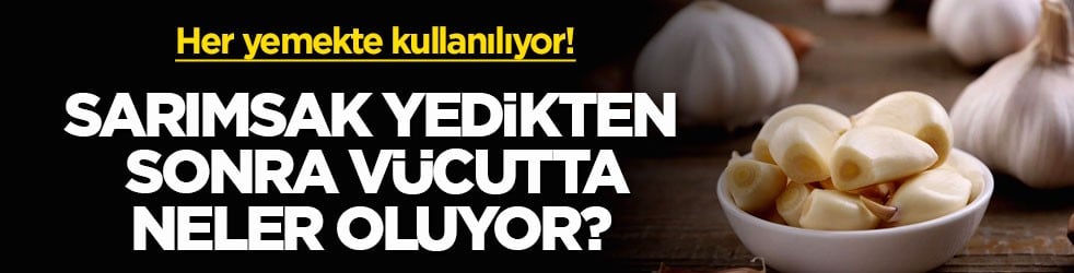 Her yemekte kullanılıyor! Sarımsak yedikten sonra vücutta neler oluyor?