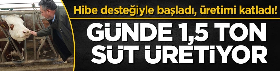 Hibe desteğiyle başladı, üretimi katladı! Günde 1,5 ton süt üretiyor