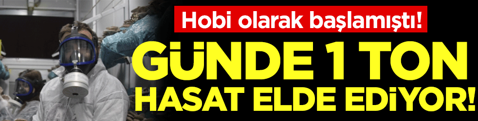 Hobi olarak başlamıştı: Şimdi 1 tona yakın hasat elde ediyor!