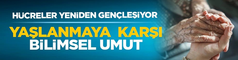 Hücreler yeniden gençleşiyor: Yaşlanmaya karşı bilimsel umut