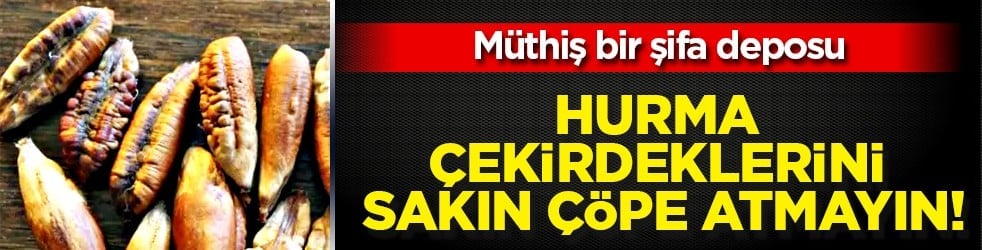 Hurma çekirdeklerini sakın çöpe atmayın! İşte o verdiği şifalar...