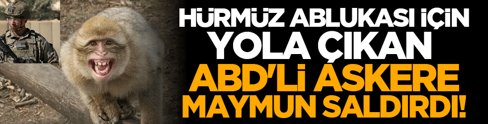 Hürmüz Ablukası için Yola Çıkan ABD'li askere maymun saldırdı!