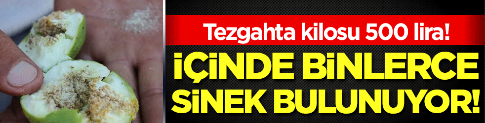 İçinde binlerce sinek bulunuyor! Tezgahlarda kilosu 500 lira!