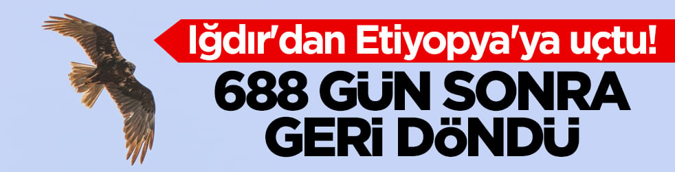 Iğdır'dan Etiyopya'ya uçtu! 688 gün sonra Aras Kuş Cenneti'ne döndü