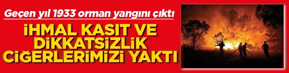 İhmal, kasıt ve dikkatsizlik ciğerlerimizi yaktı