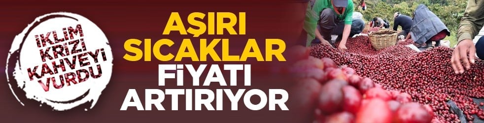 İklim krizi kahveyi vurdu: Aşırı sıcaklar fiyatı artırıyor