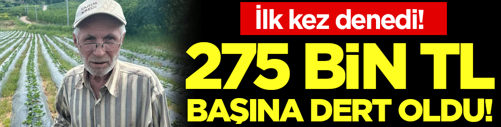 İlk kez denedi: 275 bin TL başına dert oldu!