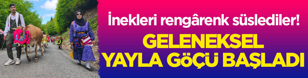 İnekleri rengârenk süslediler! Geleneksel yayla göçü başladı