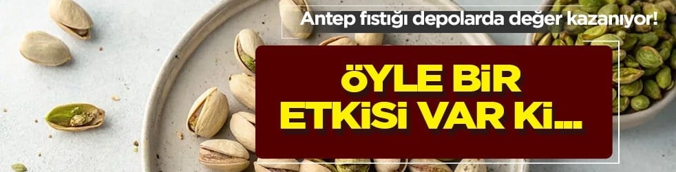 İran-ABD ve İsrail savaşında görüşmeler tıkandı: İçi vitamin dolu Antep fıstığı depolarda değer kazanıyor! 